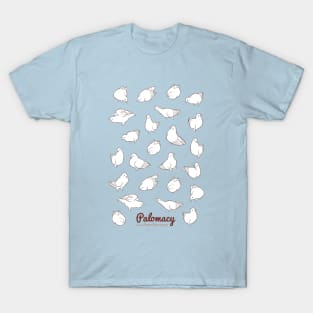 Poofy Pigeons (white) T-Shirt